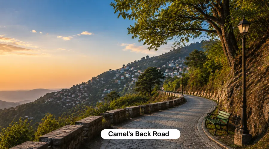 Camel's Back Road Camel's Back Road